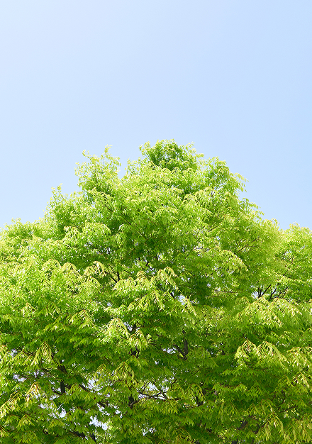 Sustainability